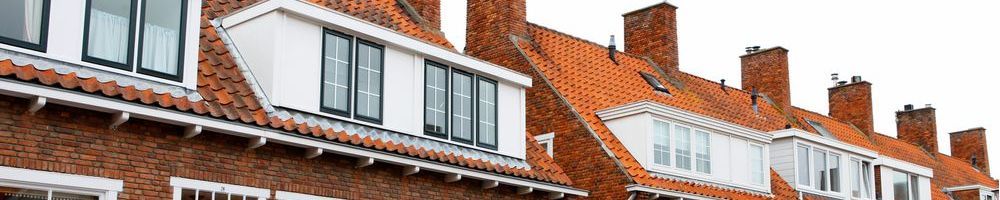 Dakinspectie Udenhout